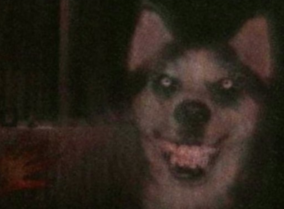 Screenshot 20240816 090654 Google