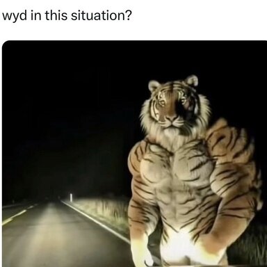 1723803498792