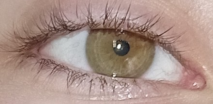 Screenshot 2024 08 16 13 49 09 77 a63b0f8076346d26cbdc1b971a1da2a72