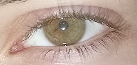 Screenshot 2024 08 16 14 12 12 26 a63b0f8076346d26cbdc1b971a1da2a7