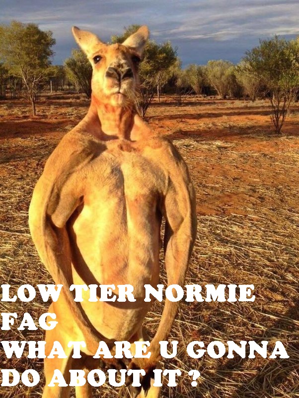 Main qimg 7bd36eeeee2392024bb14ec572bca970 lq