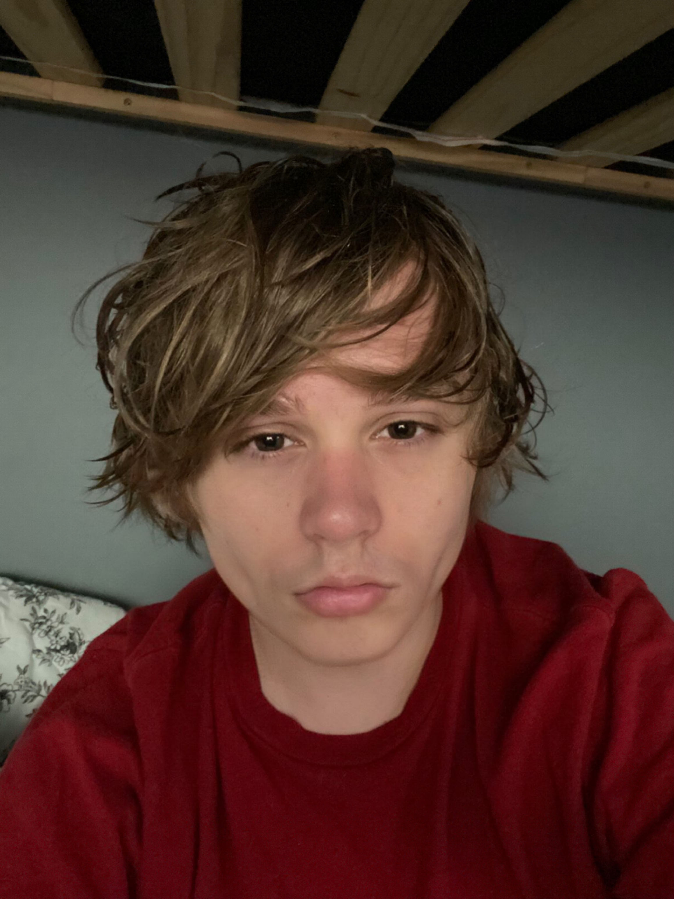 IMG 2600