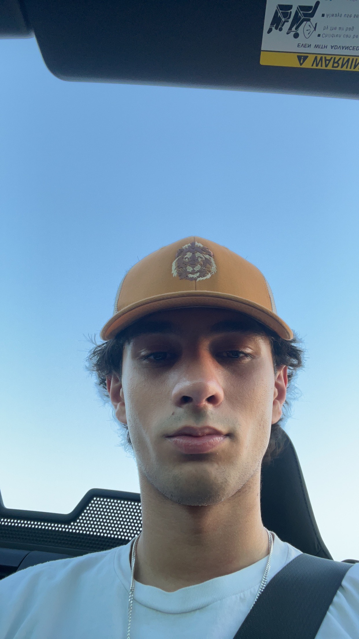 IMG 3696