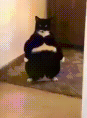 Doc 2024 08 12 14 32 02 1