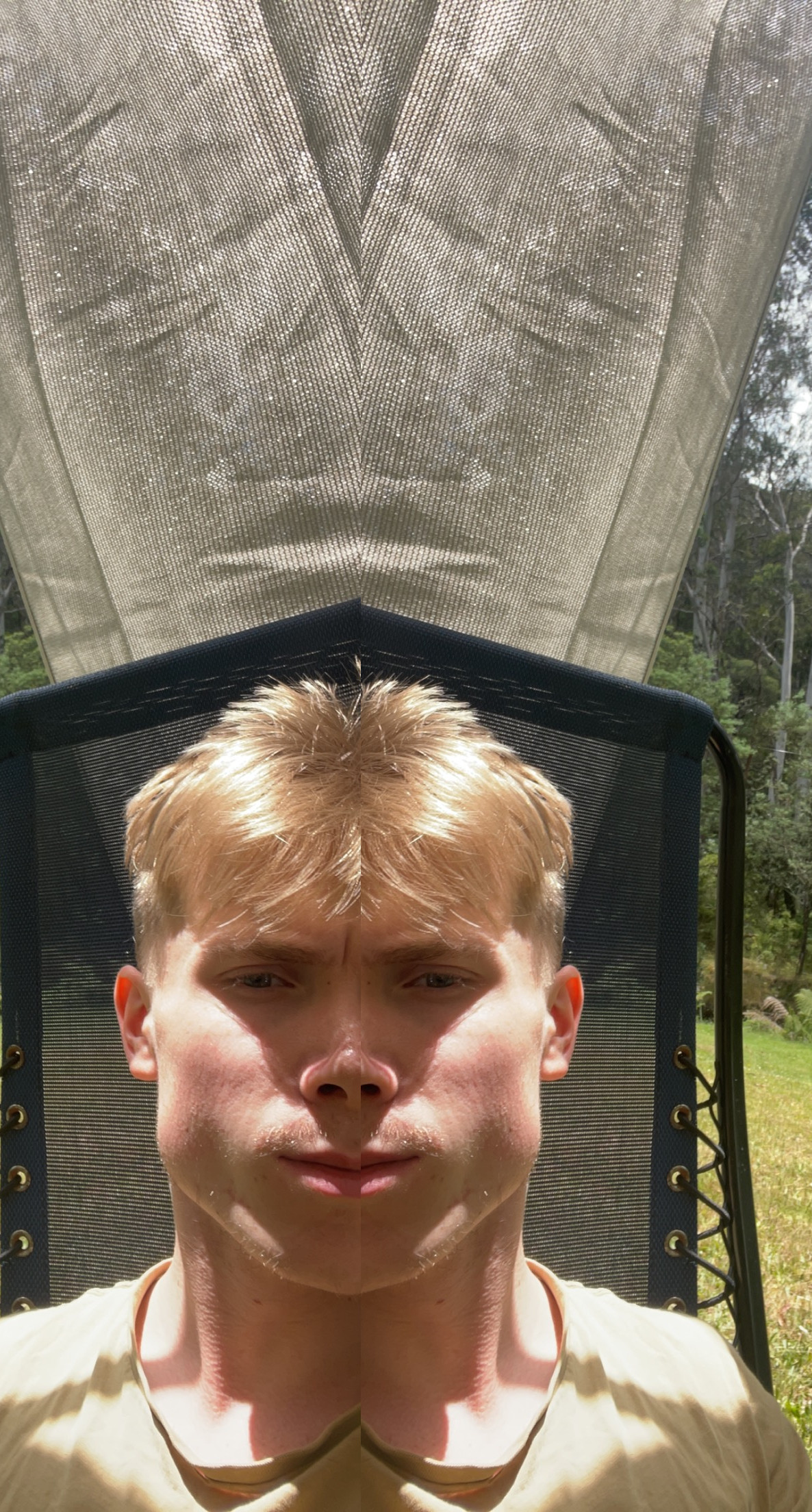4321687 IMG 36741