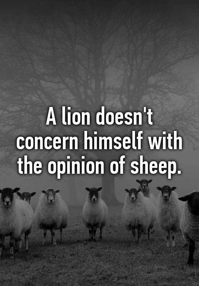 5E83A405 5844 46E4 A5D5 0FD50F857966