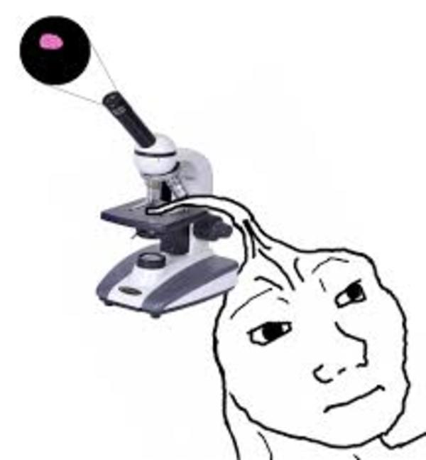 3434381 1515612871487