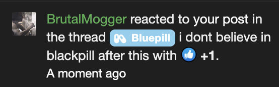 Screenshot 2024 08 20 at 113147PM