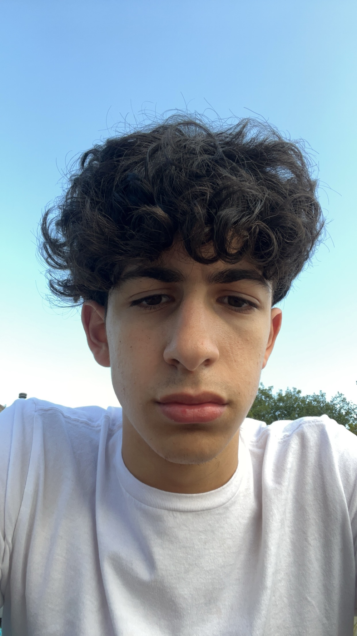 IMG 2122