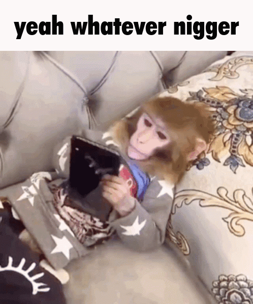 FB0641C3 C53E 4DA4 BDE9 B31470313F06