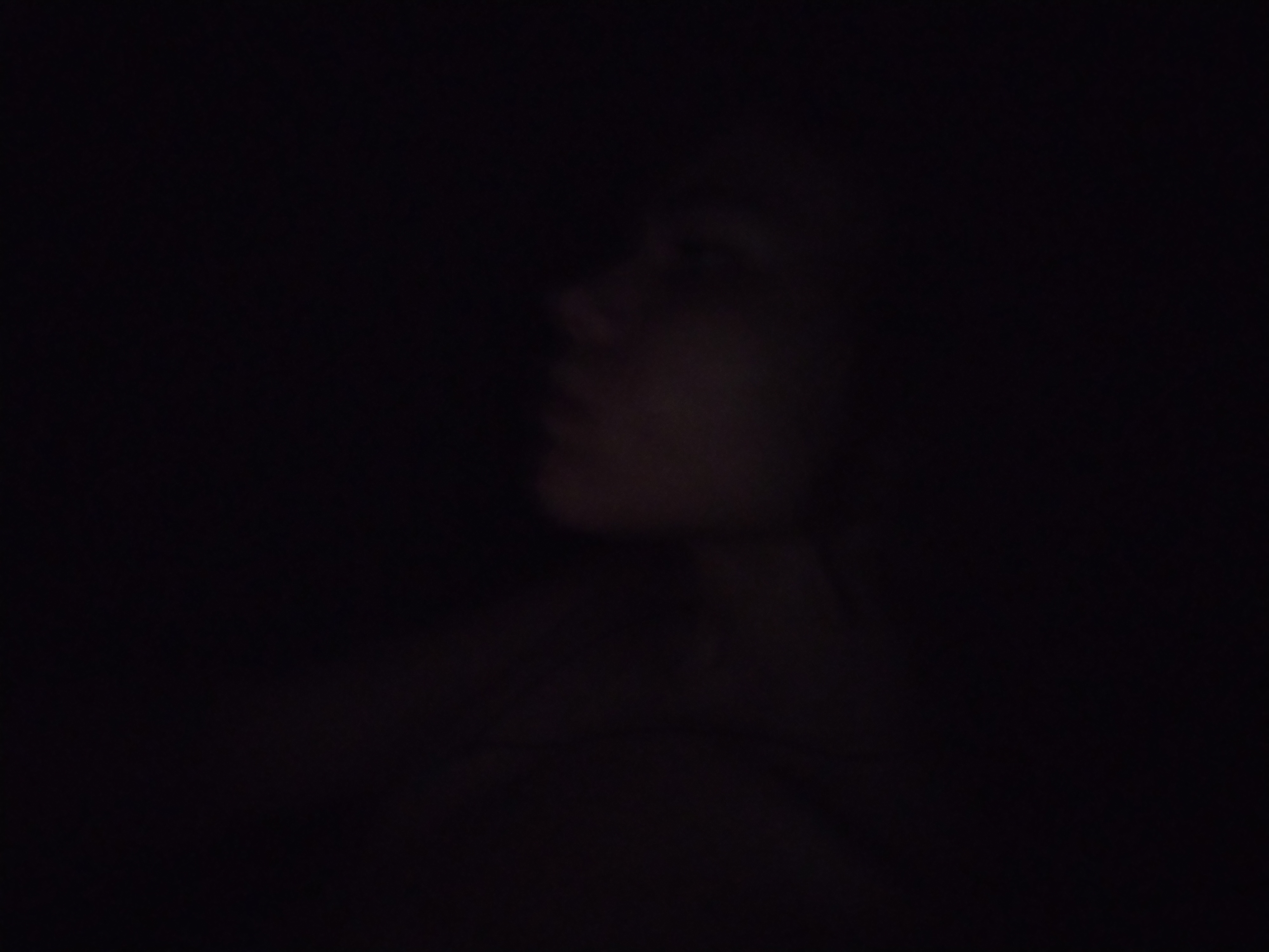IMG 20240821 035913