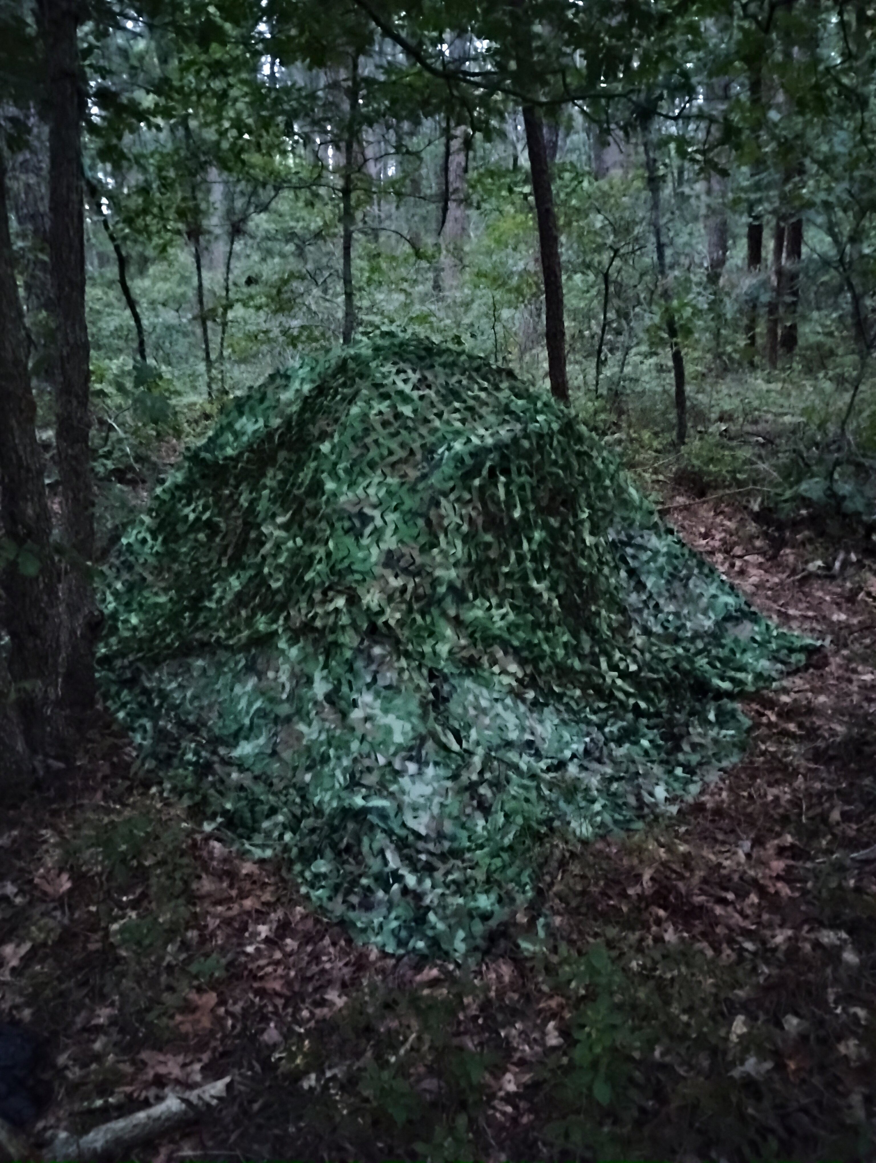 IMG 20240819 194858109