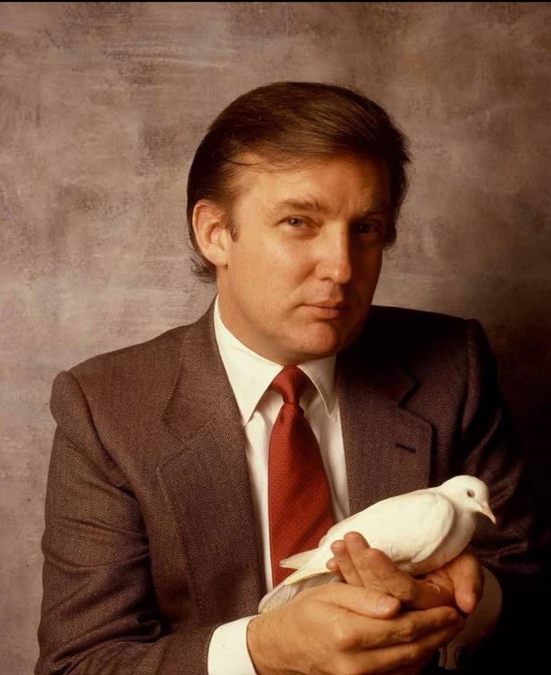 Screenshot 20240821 123623 Instagram