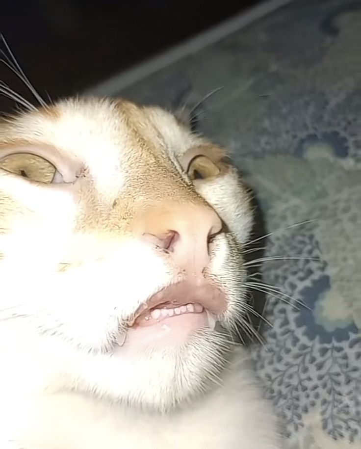 D99b0516 c7f1 4a05 a01e 1ceb53861027