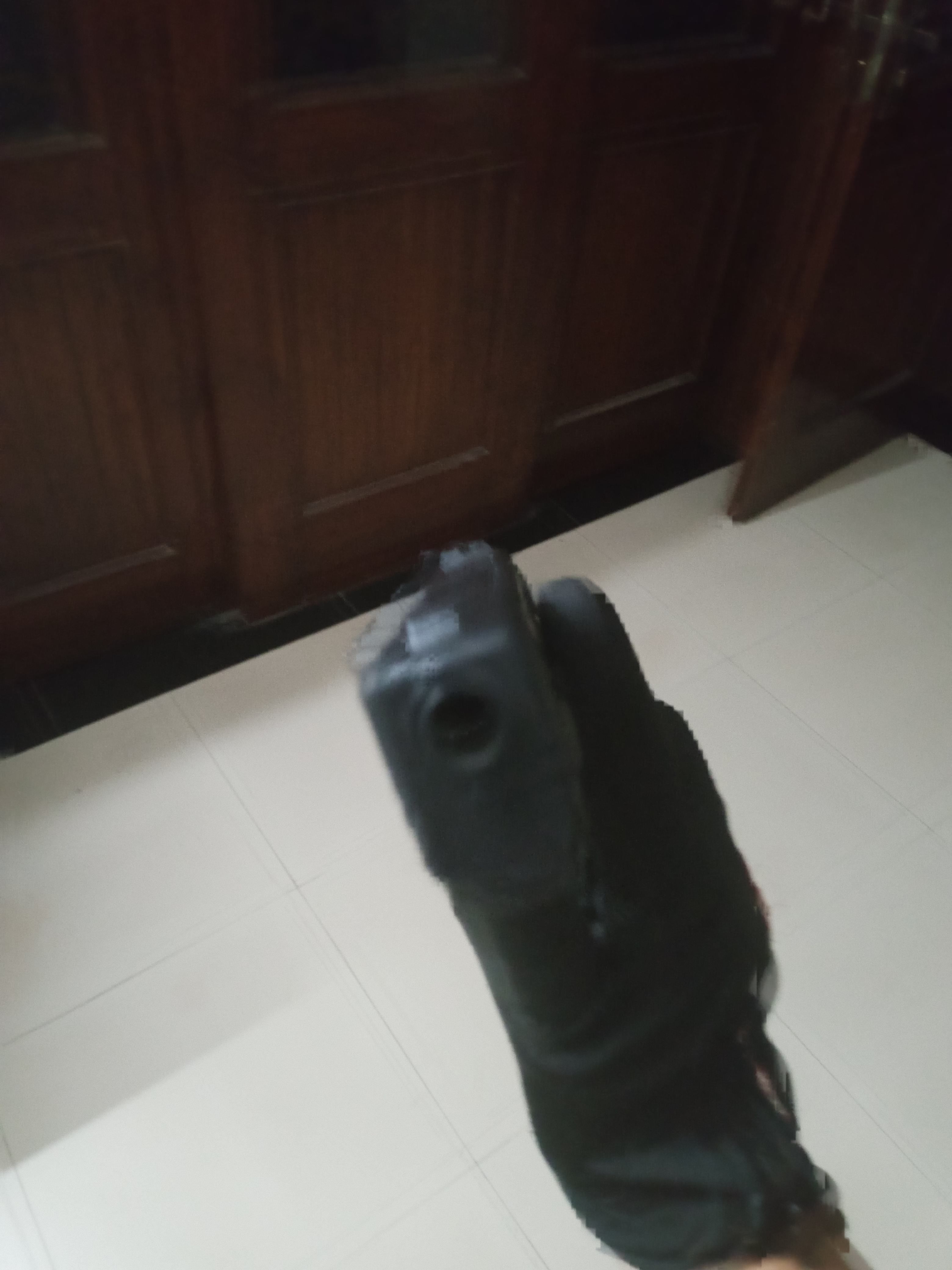 IMG 20240821 233404 826