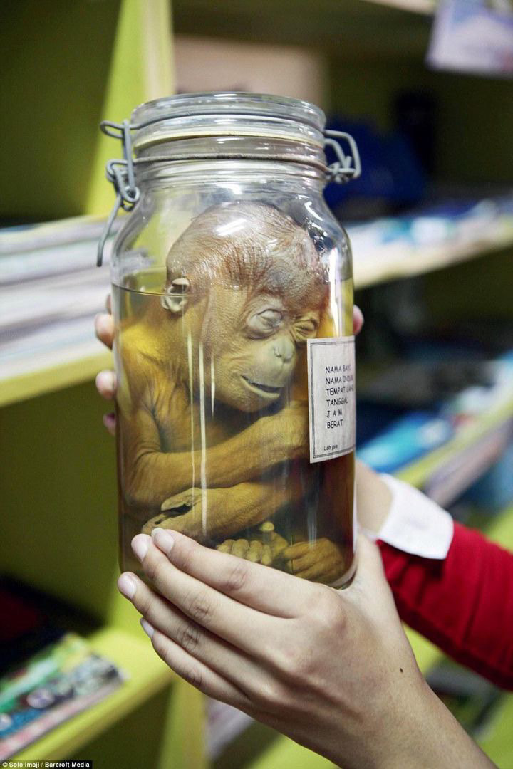 DBF9FB02 AF5E 488D B7BB 2929FAA670EA