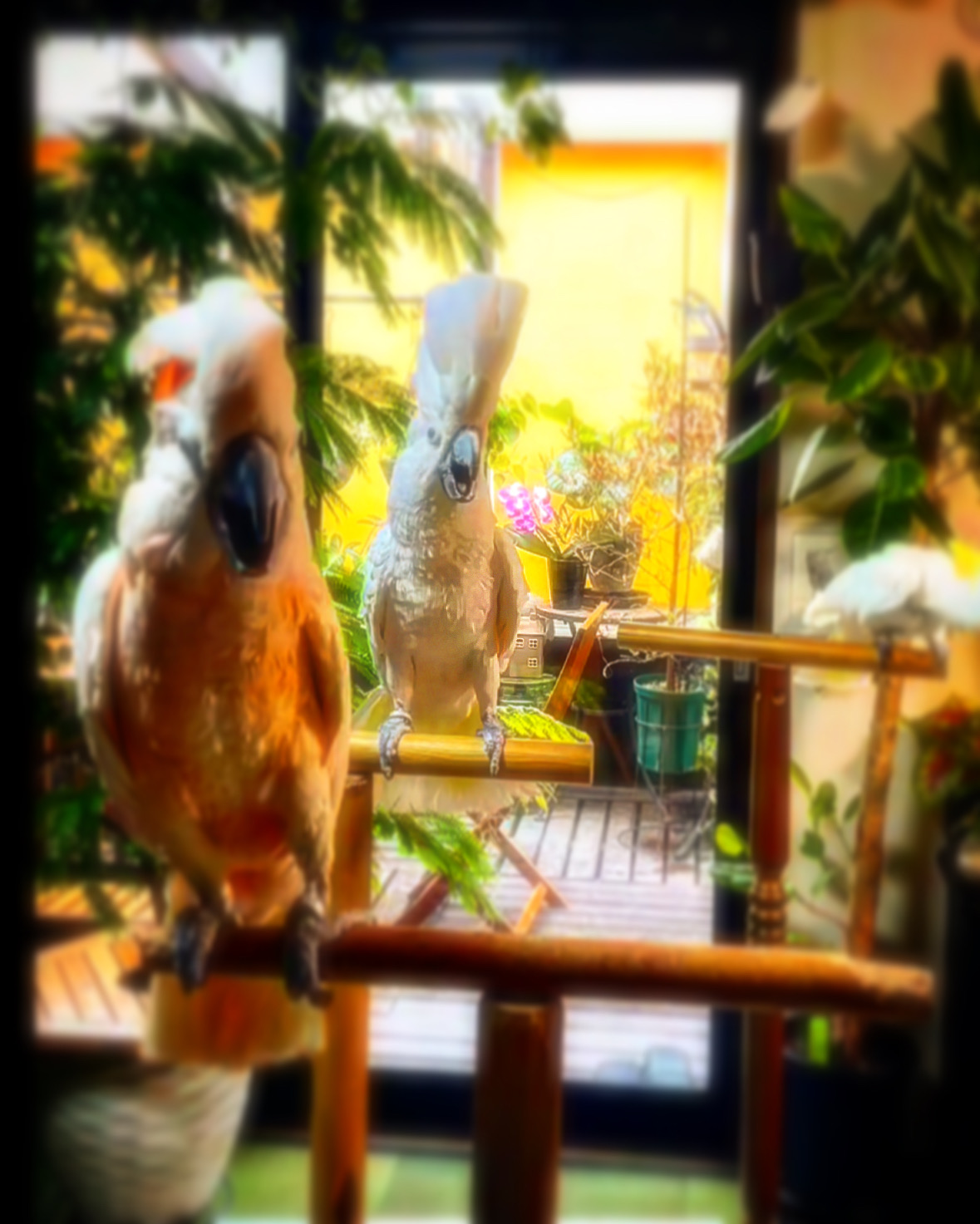 8B641345 DA45 4439 B2C9 B23B1DB7D051