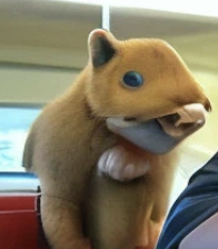 Screenshot 2024 08 21 at 44625PM