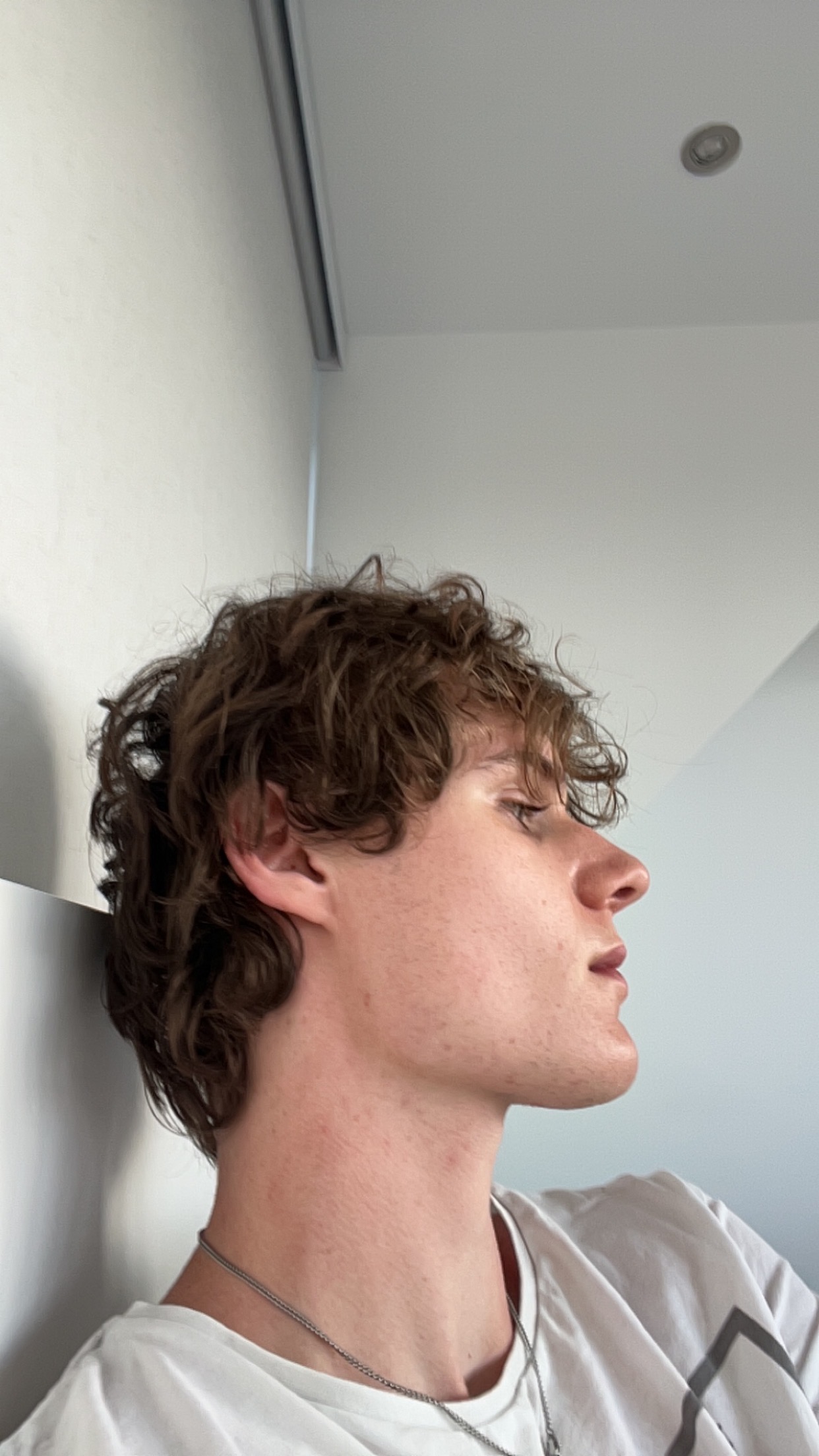 IMG 7944