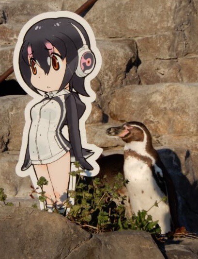 Penguinwaifu