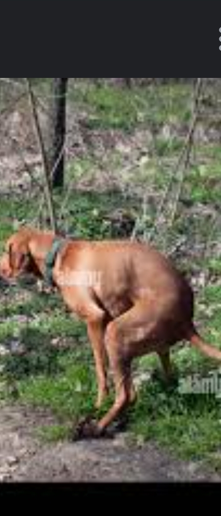 Screenshot 20240822 103634 Chrome