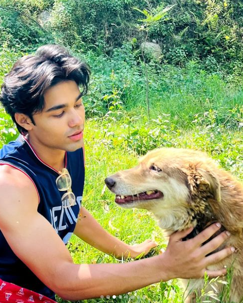 3591763 1692106169365