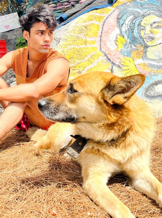 3591762 1692106139471