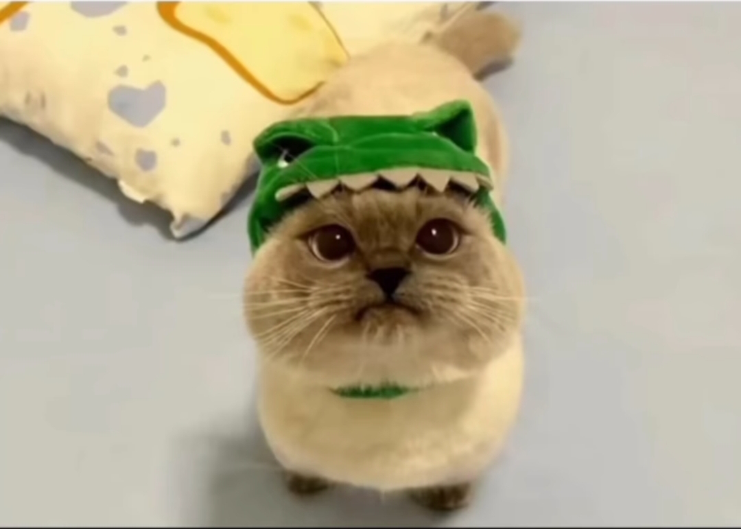 Screenshot 20240823 174728