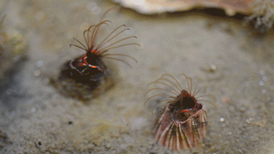 Tumblr ntpko6URol1rqjyt3o3 400