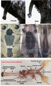 Images 16