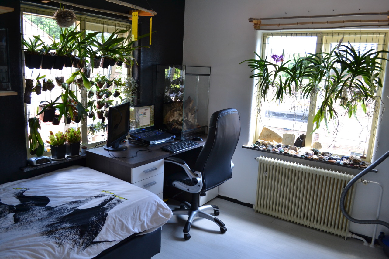 Battlestation