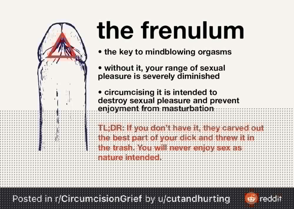 3661696 2240932 D225AAB7 F6A9 40FA 95B6 EC1DBB2E4804