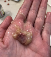 Screenshot 2024 08 25 202715