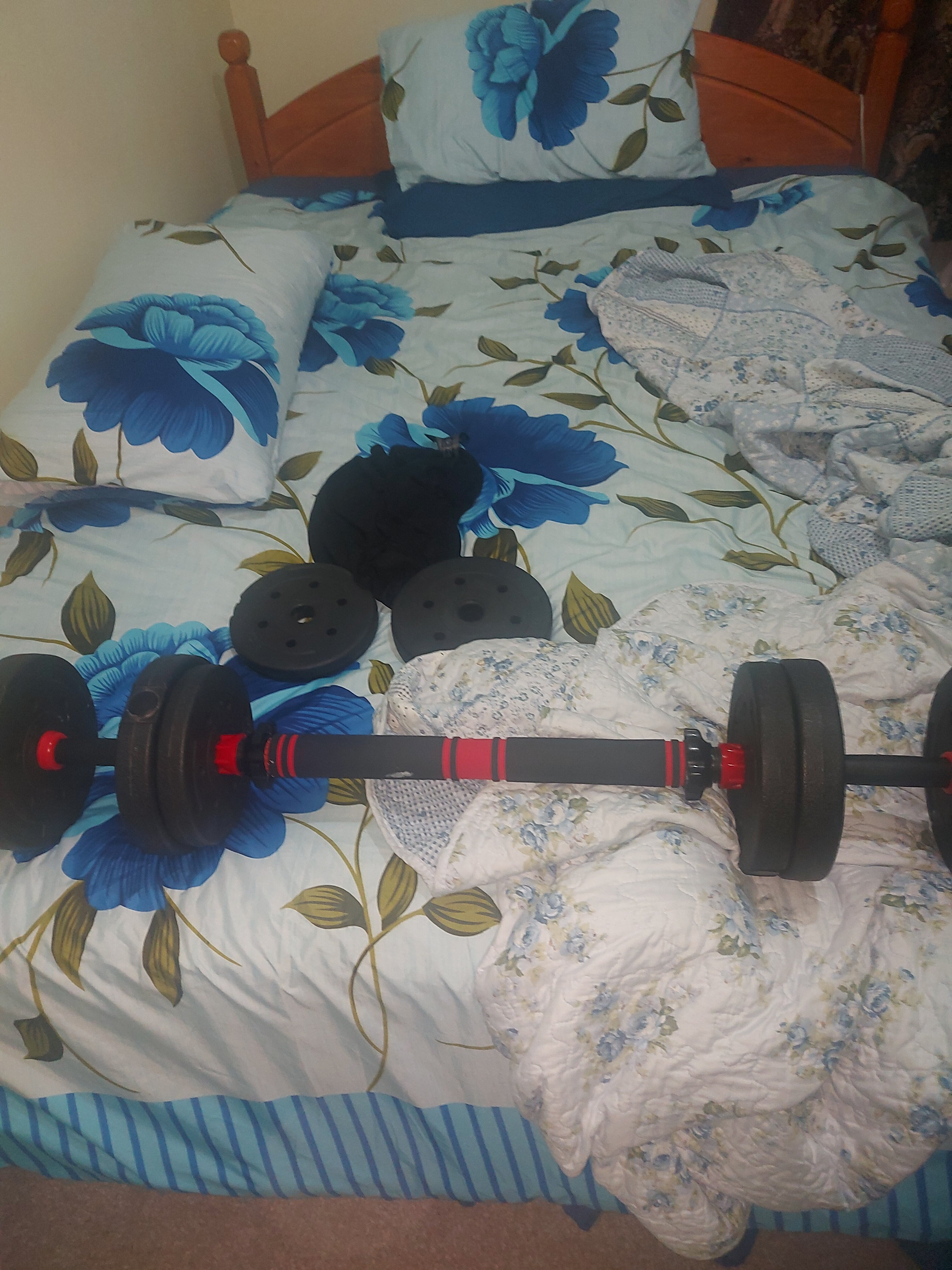 17246410430883686237454748589061