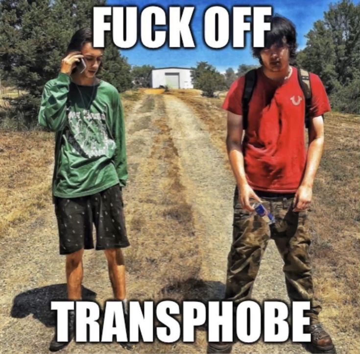 3d6dc46f396dfbbab94758c3ceef8151