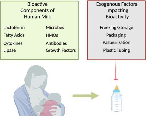 1 s20 S1055858623000537 gr1