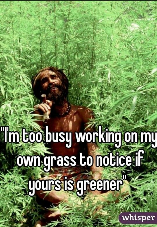 15920cd7e2141c8959e8007838115954