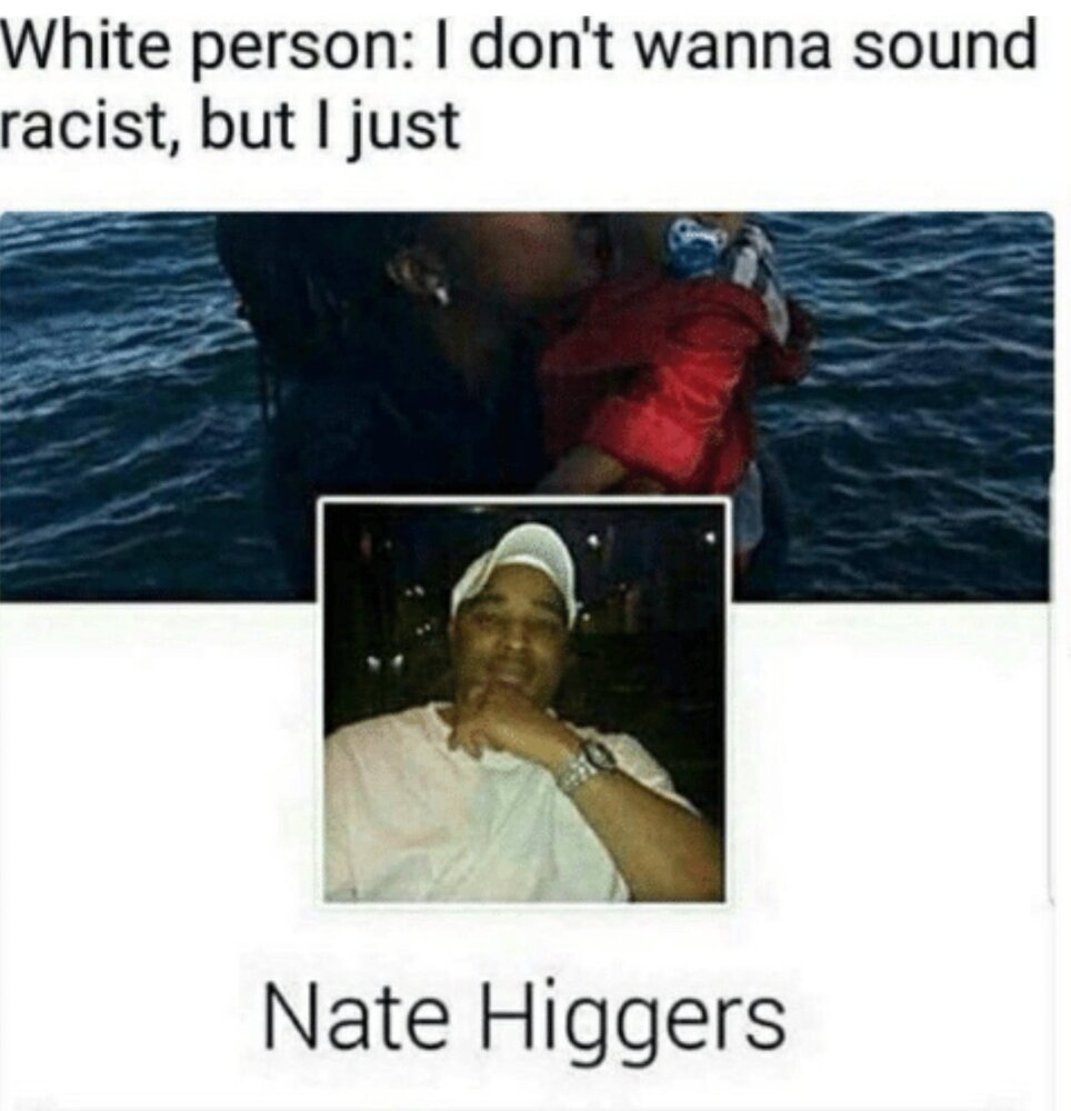 Niggers