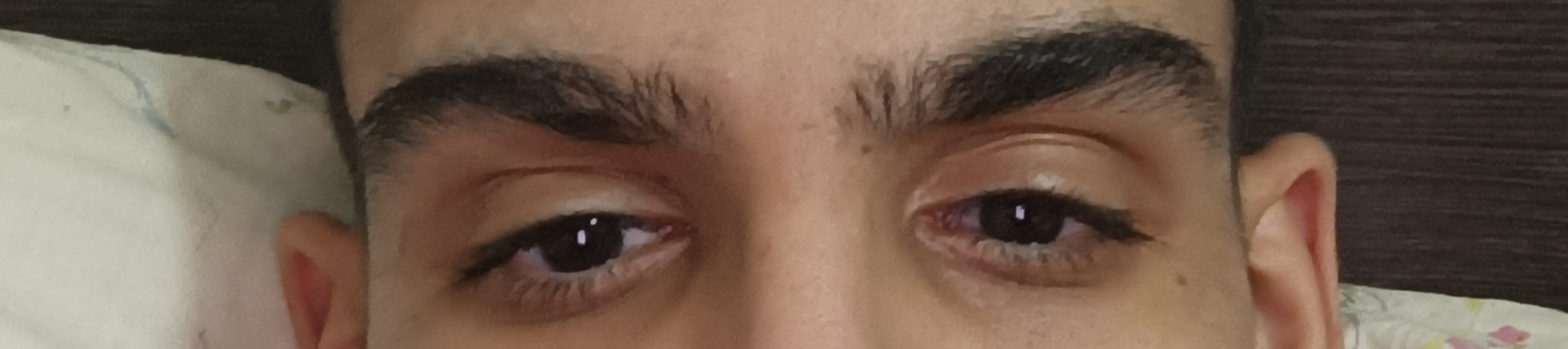 IMG 20240828 042625