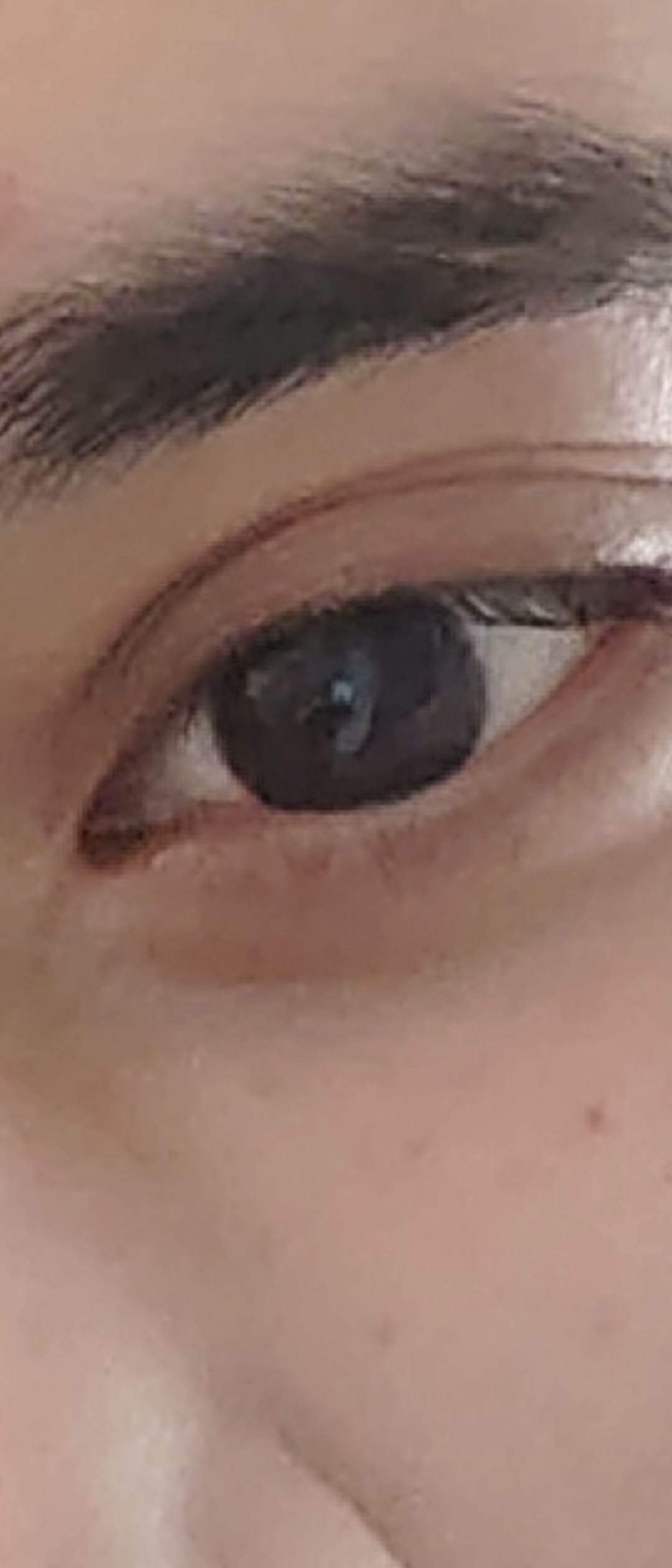 Screenshot 20240828 034813