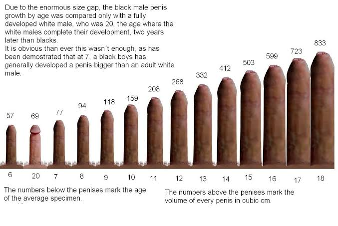 3656124 1695354176194