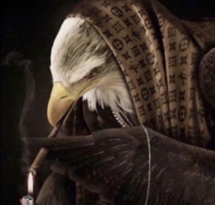 E3d6969b6859a55f749771ea1d513325