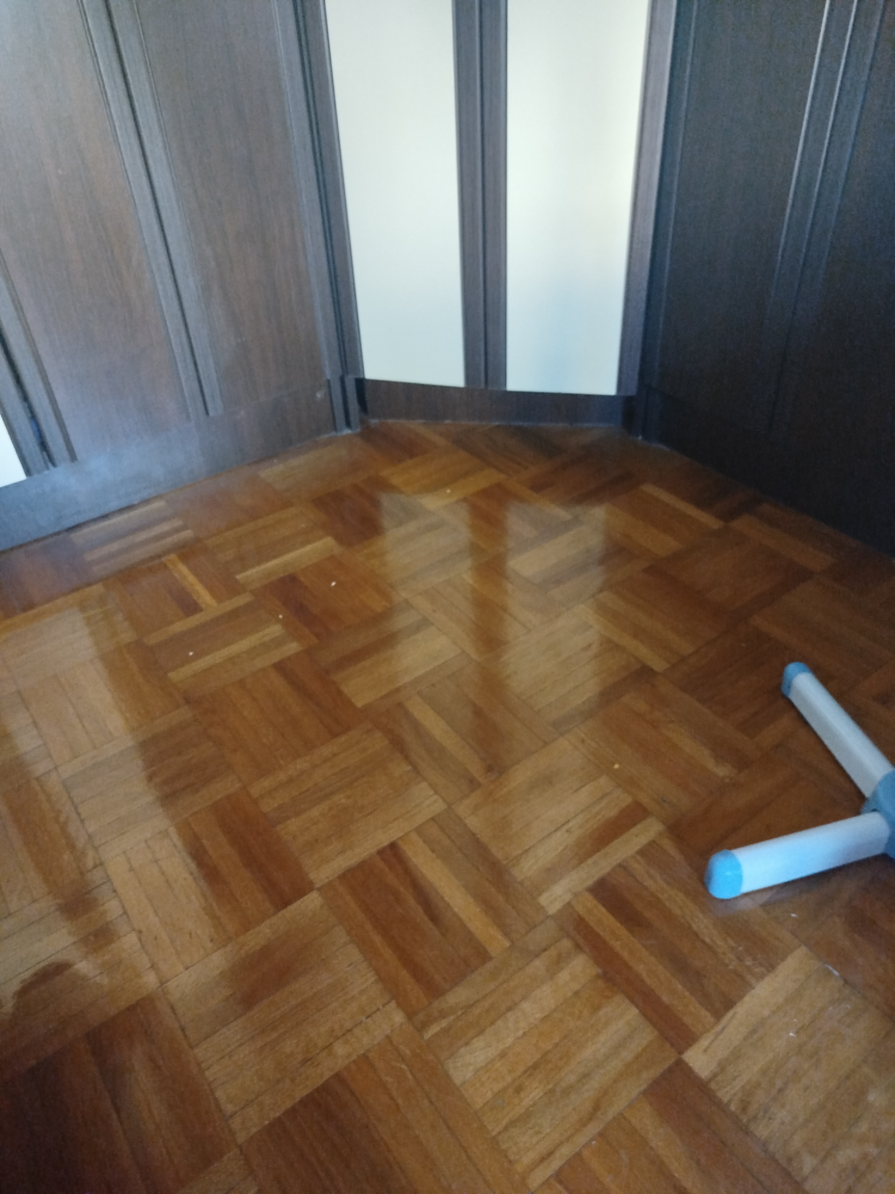 17250282649747402694517226973526