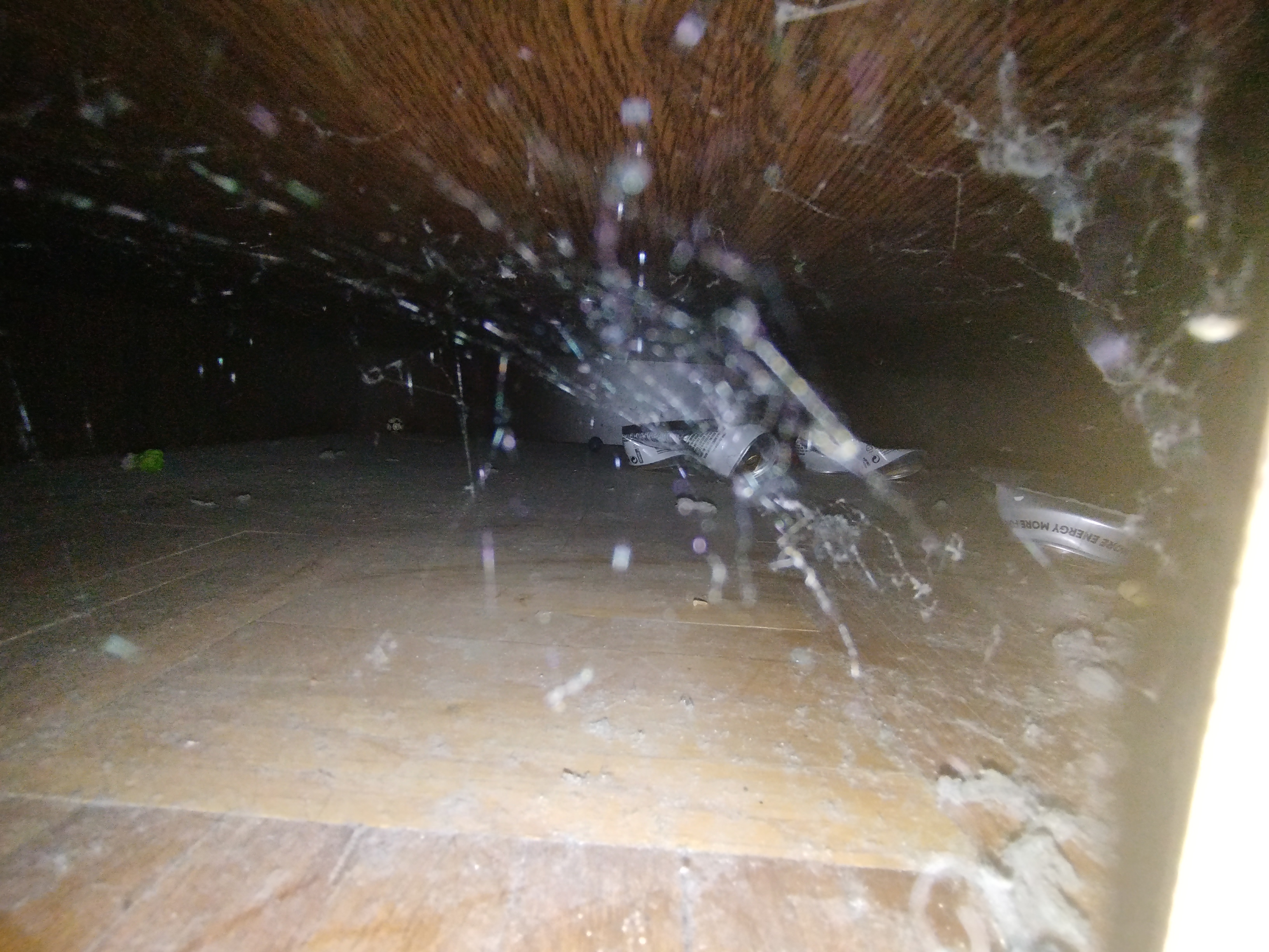 17250282962713081538468755305997