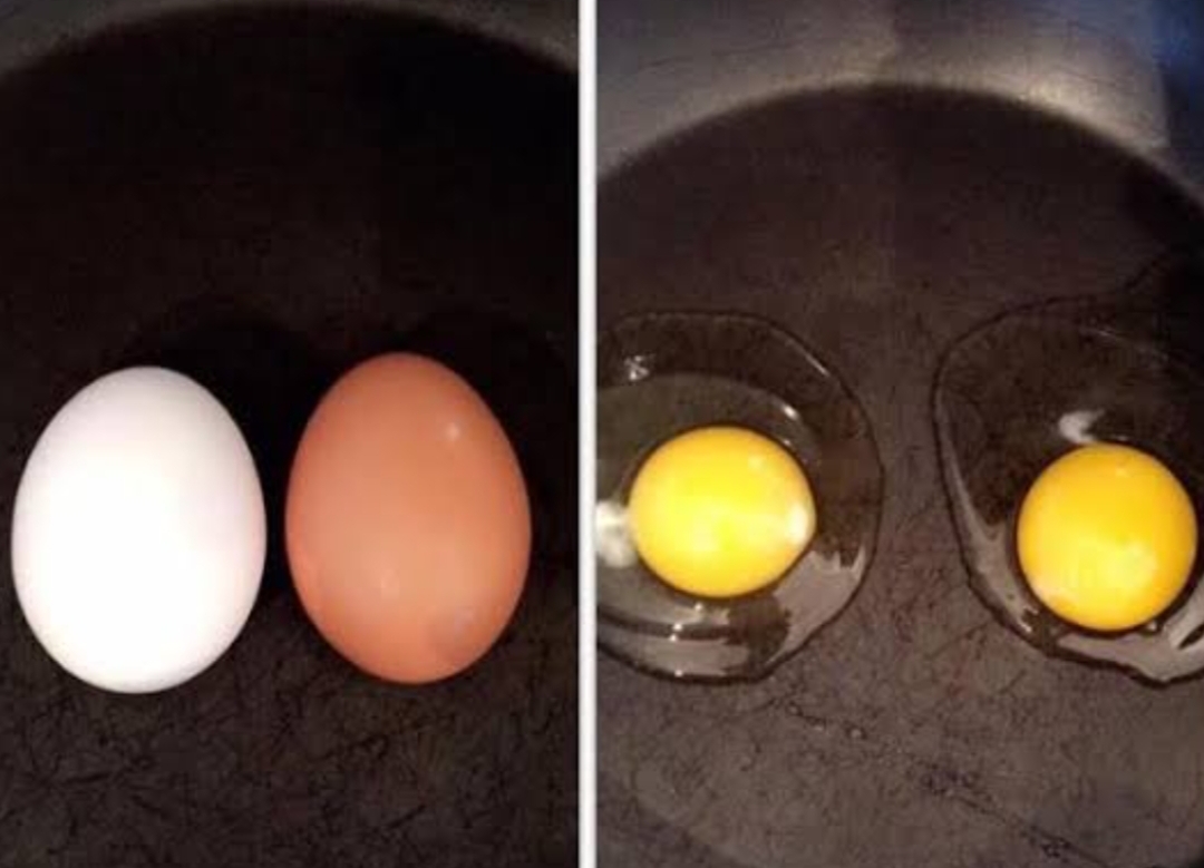 Screenshot 2024 08 30 20 12 33 086 comandroidchrome edit