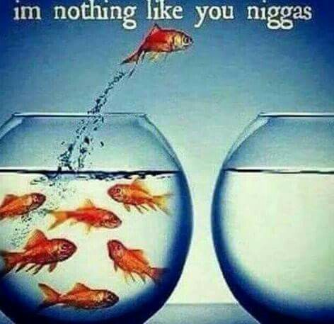 4334295 d525675417034cc9543c3d48dd9d21aa