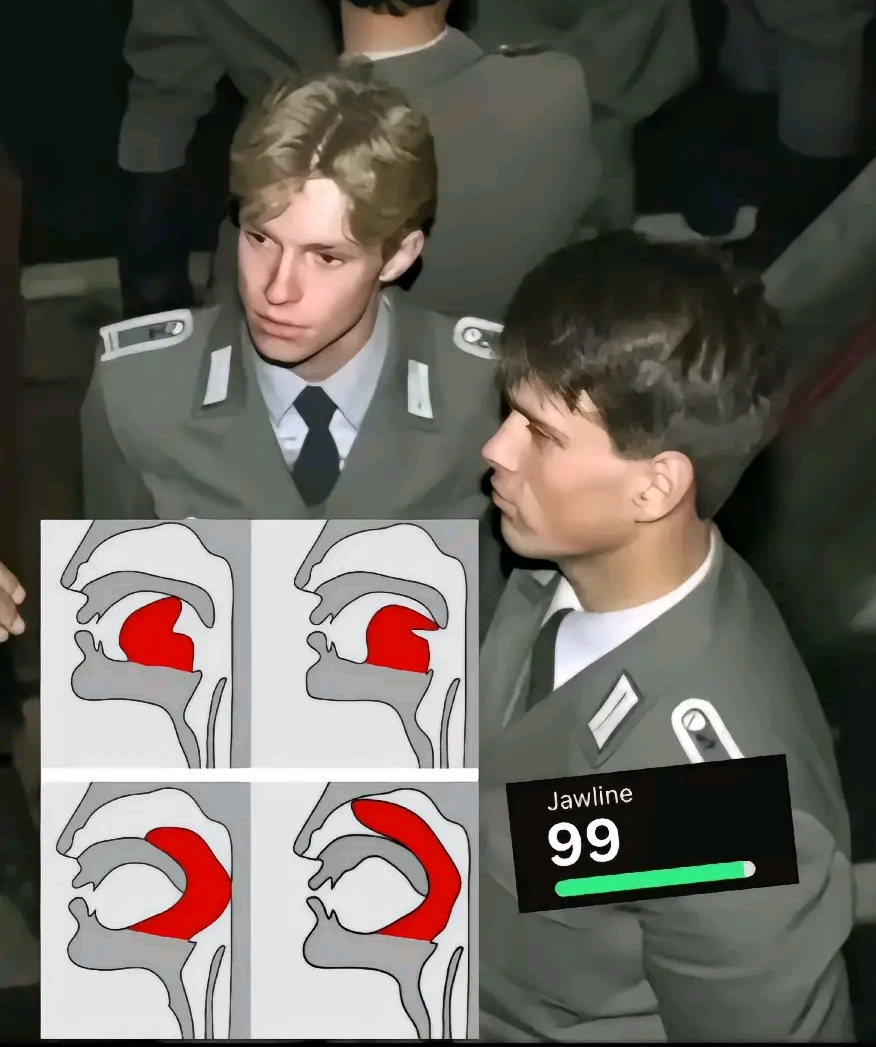 Screenshot 20240831 182249 TikTok