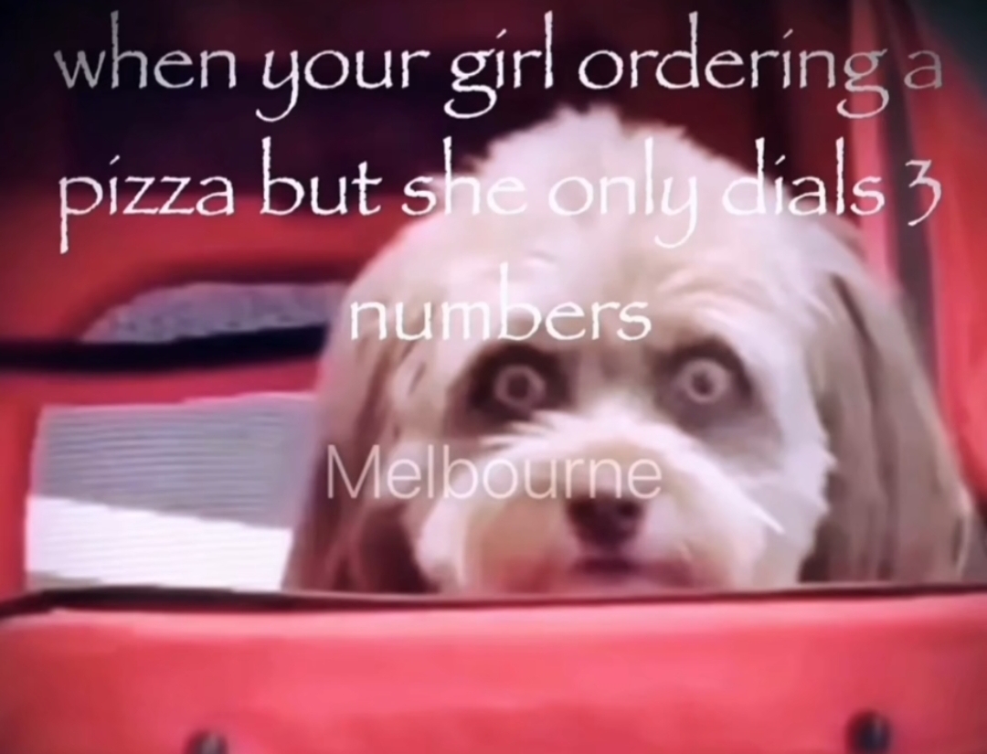 Screenshot 2024 08 31 21 39 21 575 comzhiliaoappmusically edit