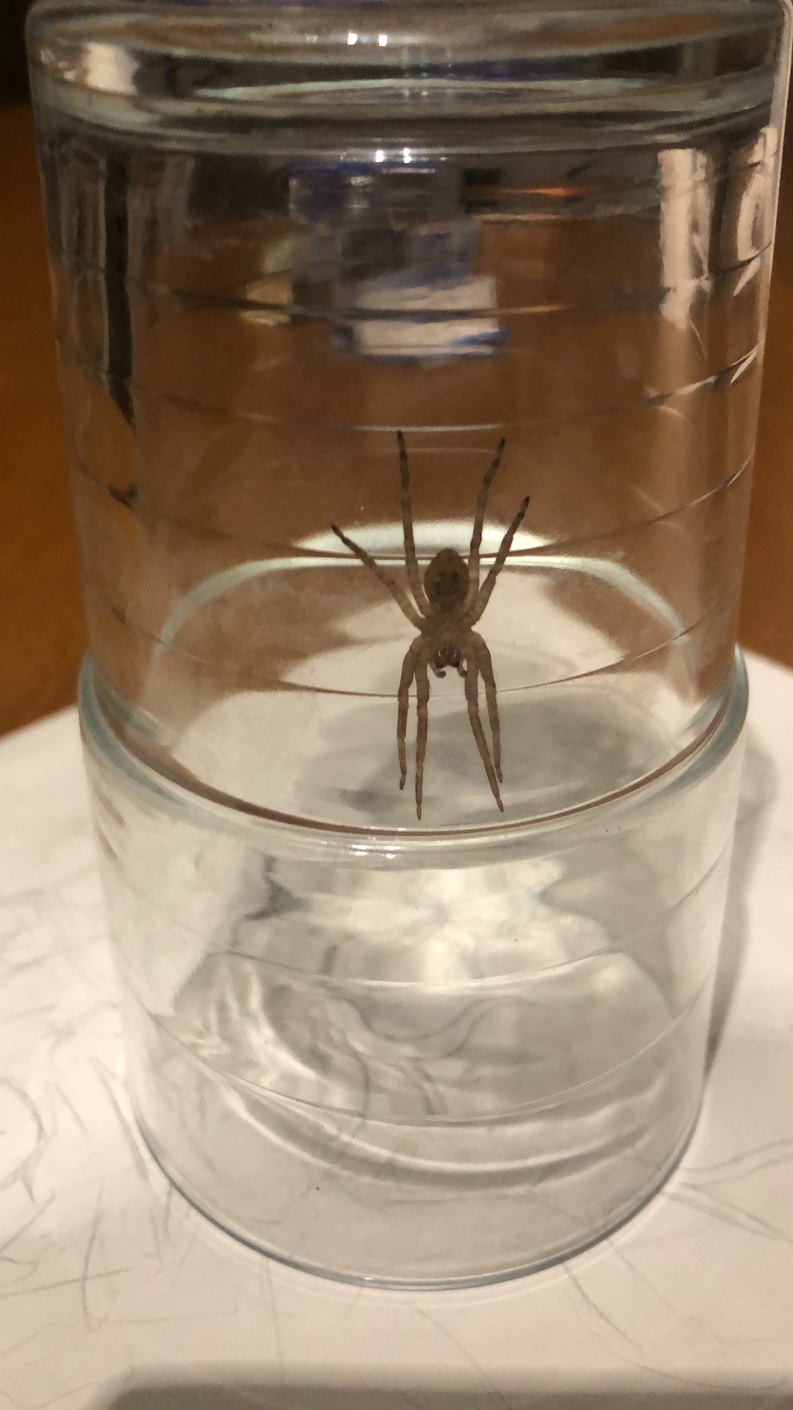 2B7F8149 E3CD 437E 90C8 042C42C2C1DA