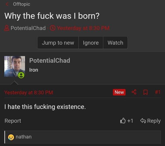 Screenshot 20240806 003640 Chrome